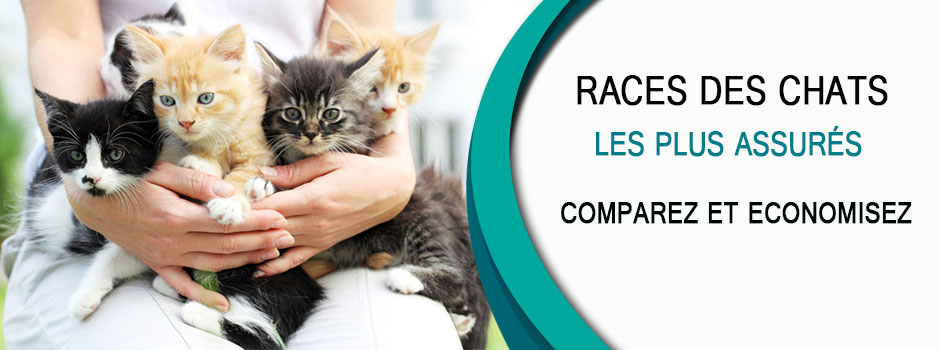 Liste des races des chats.